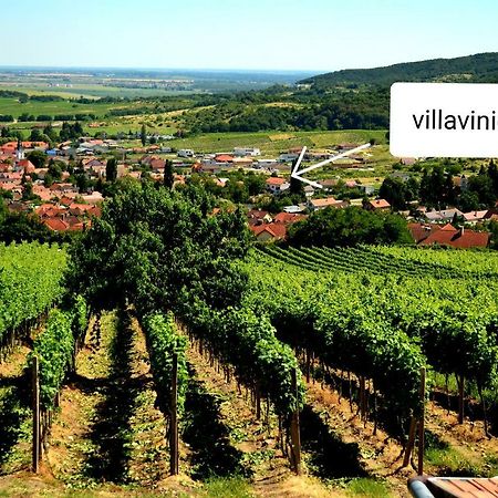 Limbach Villa Vinica المظهر الخارجي الصورة