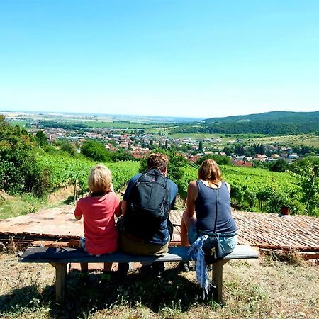 Limbach Villa Vinica المظهر الخارجي الصورة