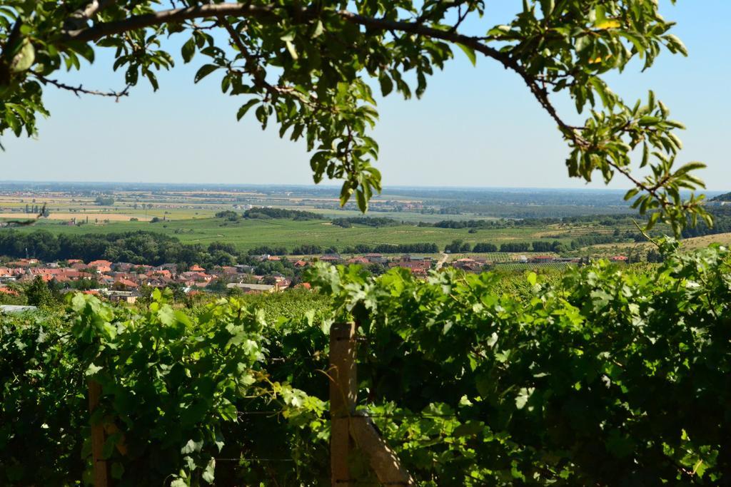 Limbach Villa Vinica المظهر الخارجي الصورة