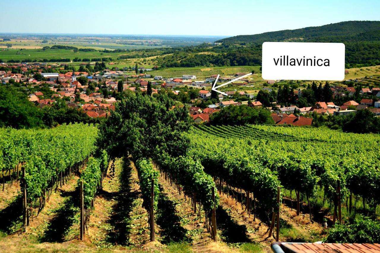 Limbach Villa Vinica المظهر الخارجي الصورة