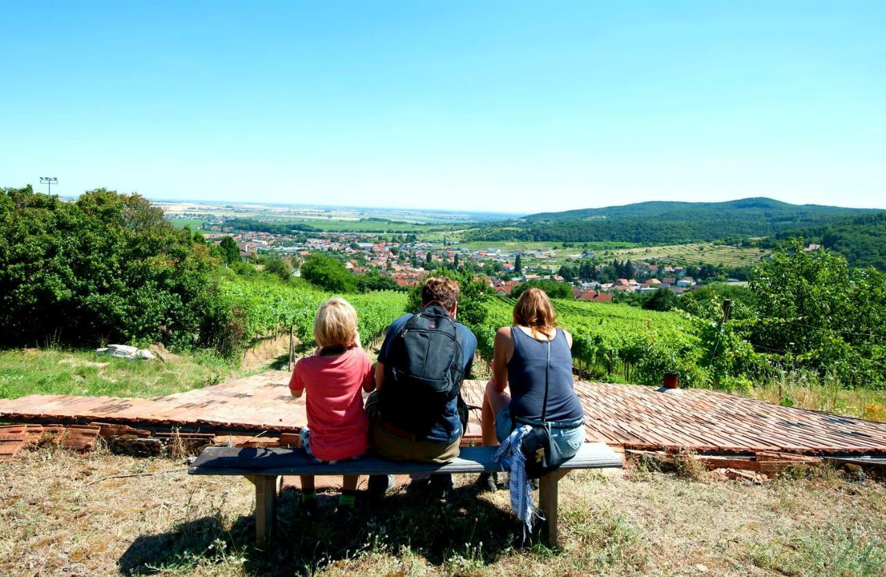 Limbach Villa Vinica المظهر الخارجي الصورة